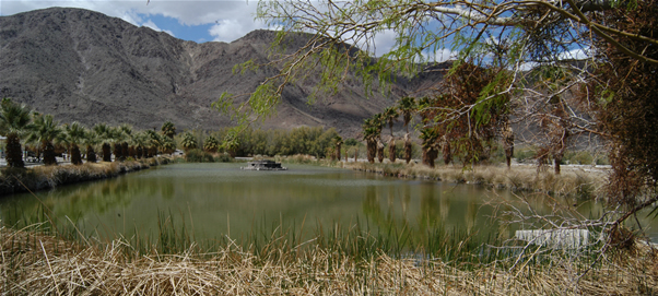 Desert Studies Photo